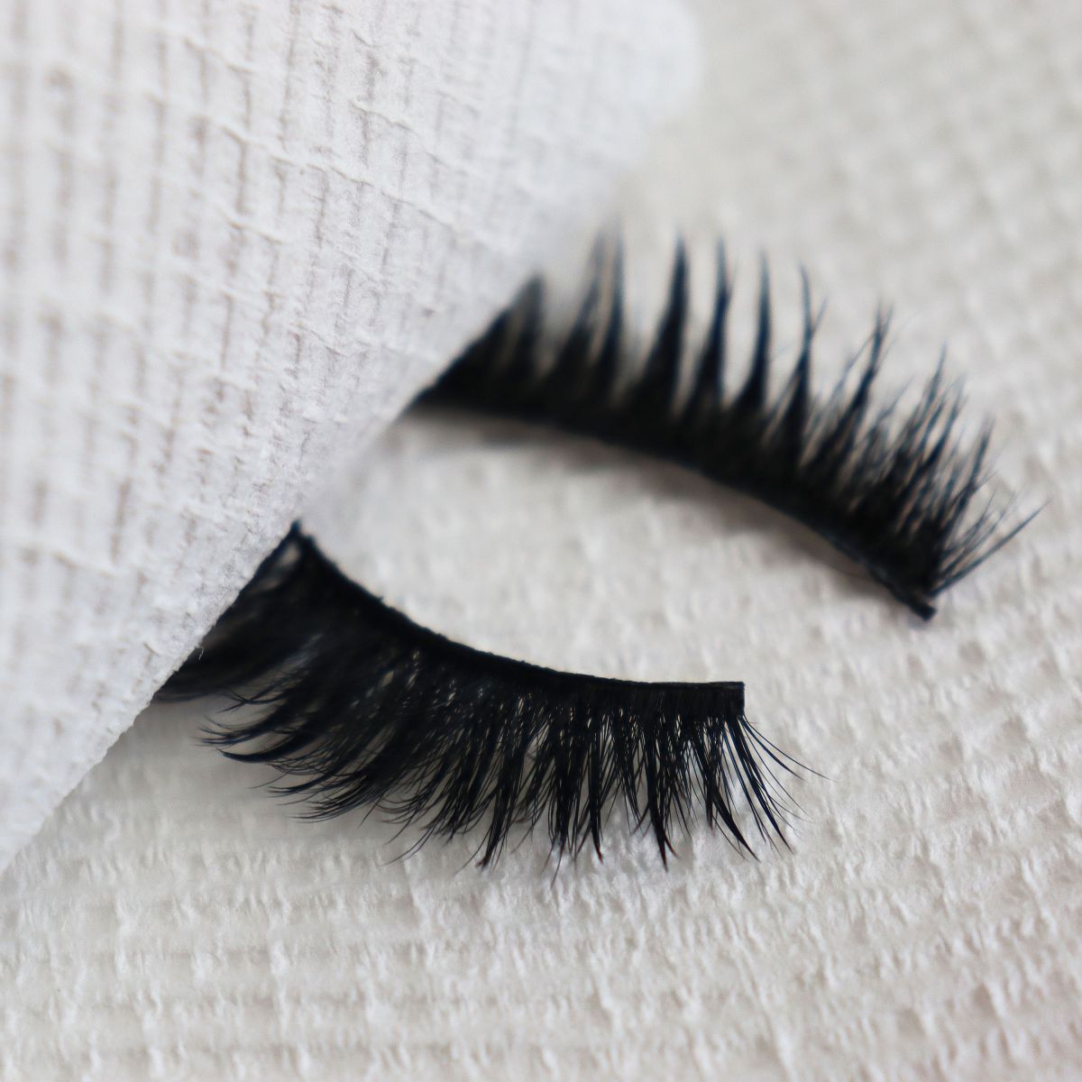 How do Eyelashes Work MODELROCK Lashes